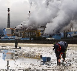 Os &uacute;ltimos datos co&ntilde;ecidos da planta de Ence en Pontevedra superaba os valores l&iacute;mite legais de emisi&oacute;ns