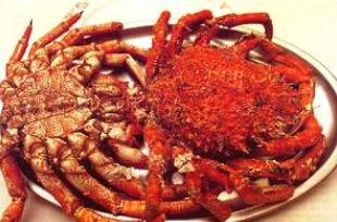 A centola poderase capturar at&eacute; o vindeiro 31 de decembro