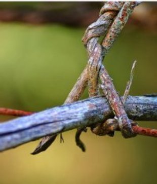 N&oacute; nas vides. Flickr: oscuroabismo