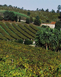 Pazo de Bai&oacute;n