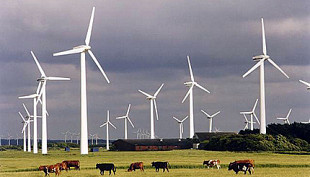 A FEG pide que a Xunta agarde a contar co novo Plan E&oacute;lico