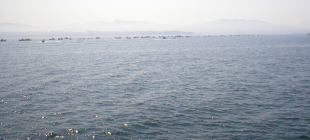 Acci&oacute;n dos mari&ntilde;eiros este s&aacute;bado / Imaxes: Foro Social Cangas Non se Vende