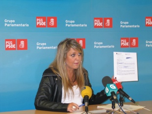 Sestayo tam&eacute;n denuncia a paralizaci&oacute;n das infraestructuras sociais