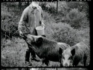 Fotogramas de 'O Cazador' e 'Par&iacute;s #1'