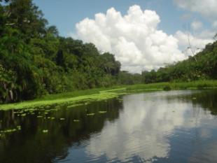 A protecci&oacute;n da rede hidrogr&aacute;fica &eacute; un dos obxectivos do grupo de traballo