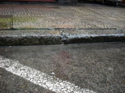 O alcalde entende que o beirado das beirarr&uacute;as acabar&iacute;a nunha entulleira se el non lle atopase outra utilidade