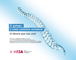 Lema da manifestaci&oacute;n do vindeiro 17 de maio