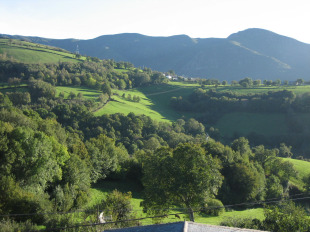 O Estudo de Impacto Ambiental foiasinado polo Director Xeral de Calidade e Avaliaci&oacute;n Ambiental o d&iacute;a antes do seu cesamento