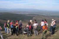 A formaci&oacute;n salientou "o inxente traballo" destas asociaci&oacute;ns