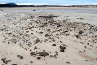 Imaxe que amosa a desecaci&oacute;n do humidal