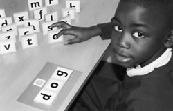 A porcentaxe de &eacute;xito est&aacute; ao redor do 90%