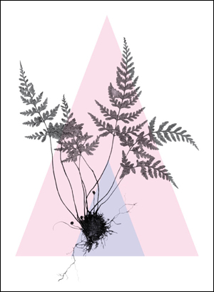 Portada do primeiro n&uacute;mero de "Galicia 21"