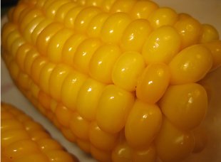 A crise agr&aacute;vase polo elevado prezo dos graos