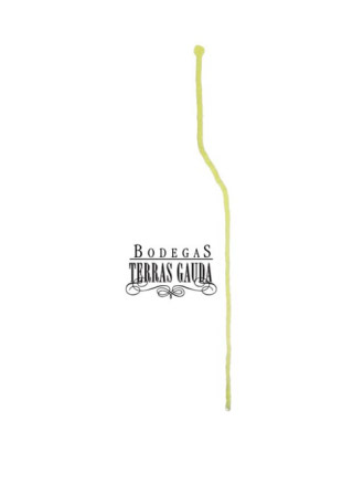 O belga Thomas Pion ga&ntilde;ou en 2007