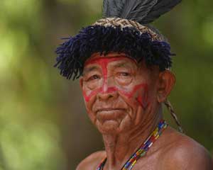 Indixena venezuelano ianomami