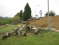 Dragados &eacute; a empresa concesionaria das obras