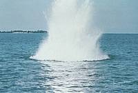 A pesca con explosivos &eacute; unha pr&aacute;ctica ilegal