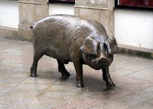 Barlow incorpora &aacute; s&uacute;a publicaci&oacute;n diversas fotograf&iacute;as tomadas en Galiza