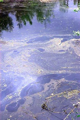 Imaxe do Mi&ntilde;o ao seu paso por Ourense logo do vertido / Foto: ADEGA