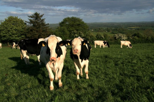 As acci&oacute;ns de protesta iniciaranse a partir das 12 da noite do martes