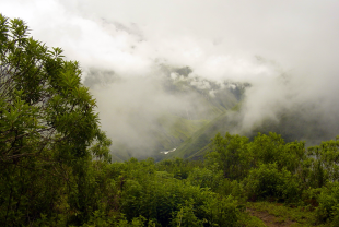 Cultivos silv&iacute;colas, &aacute;reas de lecer, sendeirismo... son algunhas das ideas subli&ntilde;adas pola FAO