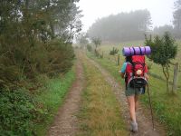 O Cami&ntilde;o de Santiago verase afectado