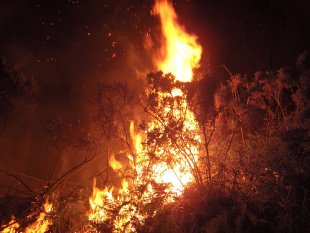 Galiza rexistra unha media anual de 10.000 incendios. Flickr: victor santos