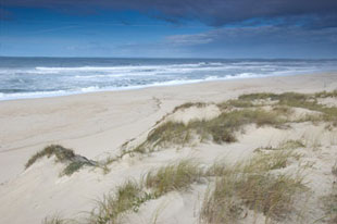 Habitats dunares atl&aacute;nticos que van ser destru&iacute;dos (Foto: Ant&oacute;nio Campos)