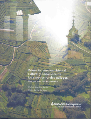 O estudo revela que as perdas econ&oacute;micas inmediatas da vaga de lumes de 2006 ascenderon a un m&iacute;nimo de 250 mill&oacute;ns de euros