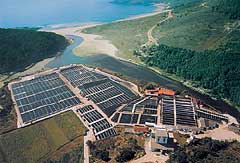 Haber&aacute; 13 novas plantas