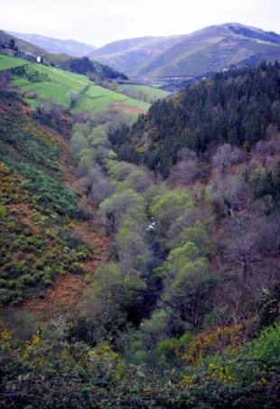Este s&aacute;bado, &aacute;s 5 da tarde na Escola Vella do Chao de Pousadoiro, Adega ofrece unha charla sobre o tema