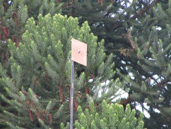 Internet deber&iacute;a chegar agora ao rural galego / Flickr: eeeTom