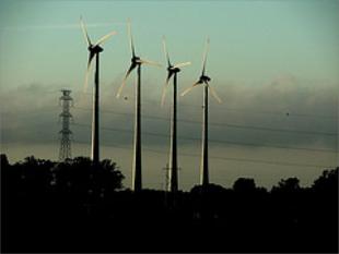 Mu&iacute;&ntilde;os de vento