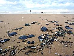 Praia de Grand-Crohot (L&egrave;ge-Cap Ferret)