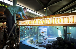 Os viaxeiros poden deixar a s&uacute;a mascota ao sa&iacute;r do aeroporto e recollela ao chegar