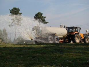 Os gandeiros do SLG sum&aacute;ronse &aacute; folga europea para demandar un prezo xusto. Imaxe: Betanzos (SLG)