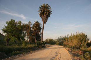 Unha das imaxes de Jorge Barbi, que recolleu espazos nos que houbo execuci&oacute;ns na Guerra Civil