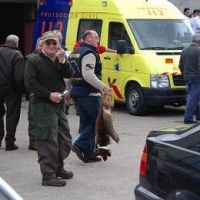 Alg&uacute;ns cazadores non gustan da presenza dos ecoloxistas / Adega