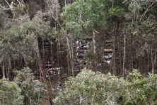 Territorio ecuatoriano onde tivo lugar o ataque de Colombia &aacute;s FARC