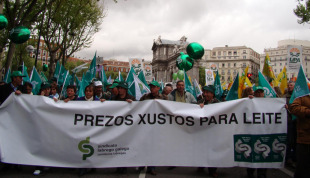 O custe de producir un litro de leite ascende a 40 c&eacute;ntimos, mentres se est&aacute; a vender entre 20 e 30 c&eacute;ntimos