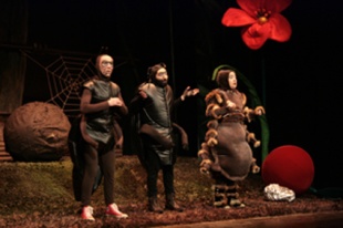 Vela&iacute; toda a 'Bicharada'