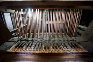 Interior dun dos &oacute;rganos catalogados