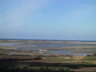 O Grupo Naturalista H&aacute;bitat presentou unha denuncia ante Bruxelas