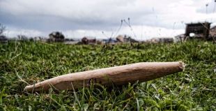 Fotocreaci&oacute;n do fot&oacute;grafo underground NACHOK, titulada 'Billarda-Limacha', unha extremecedora instant&aacute;nea na que a billarda semella reptar polo prado