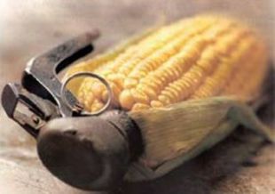 Os detractores dos transx&eacute;nicos alertan da necesidade de investigar os seus efectos na sa&uacute;de