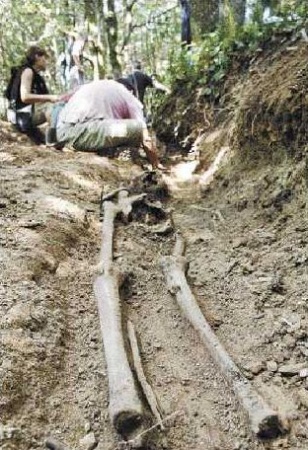 Fotograf&iacute;a tirada no Alto do Acebo, na Fonsagrada, onde desenterraron este ver&aacute;n unha foxa com&uacute;ns nas que se agardaba atopar parte do Batall&oacute;n Galicia