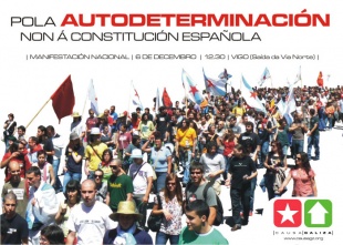 O cartaz da manifestaci&oacute;n do 6-D