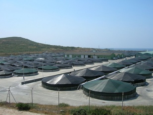 Piscifactor&iacute;a de rodaballo que Prodemar (Stolt Sea Farm, S.A.), ten en Lira, unha das meirandes do mundo / Flickr: freecat