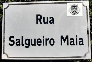 R&uacute;a de homenaxe a Salgueiro Maia na freguesia de Baguim do Monte