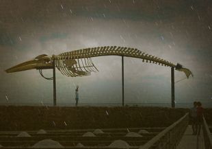 Esta imaxe t&iacute;tulase 'O futuro?' / Tirada do Flickr de pericomart